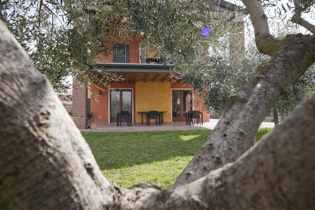 Agriturismo Le Sigalette Salionze Kültér fotó